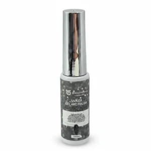 GEL PAINT CON LINER SHINY SILVER CHERIMOYA