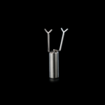 IMAN CORAZON CHERIMOYA